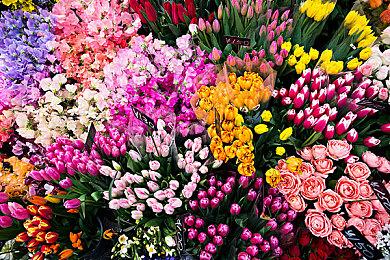 《BlackThorne Keep》用抉择系统回避常见RPG陷阱