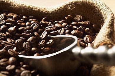 音乐解谜冒险游戏《Sonority》 现已在Steam平台发售