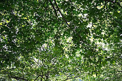 日本销量榜：任天堂Switch上半年售出近200万台